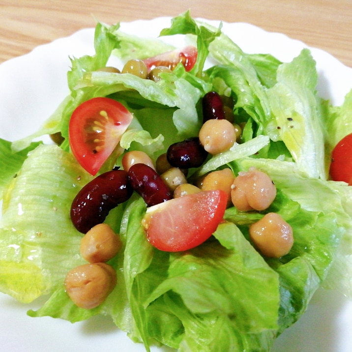 レタスとミックスビーンズとミニトマトのサラダ レシピ 作り方 By はじゃじゃ 楽天レシピ レタスとミックスビーンズとミニトマトのサラダ レシピ 作り方 By はじゃじゃ 楽天レシピ